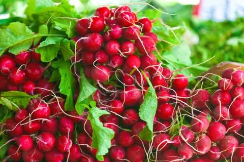Stack of radishes on a market stall 스톡 사진