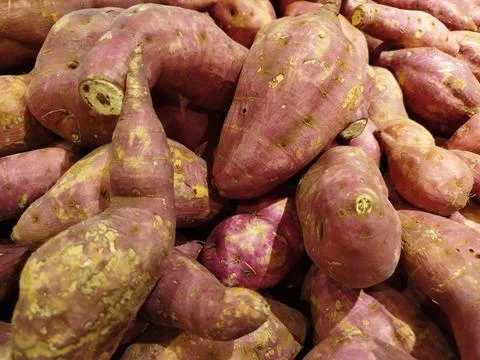 Stack of raw sweet potatoes Foto stock