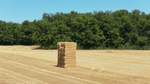 A stack of rectangular hay bales stands in the middle of a harvested wheat field Stock Footage 346715153