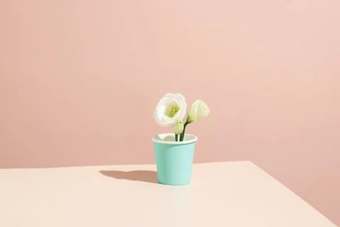 Stack of Recvclable single-use paper cups Stock Photos