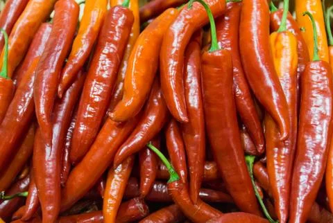 The stack of red chili 스톡 사진