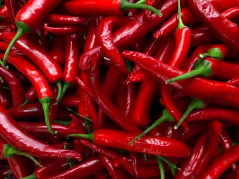 Stack of red colored raw peppers 스톡 사진
