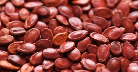 Stack of red dry melon seed Stock Footage 82539442