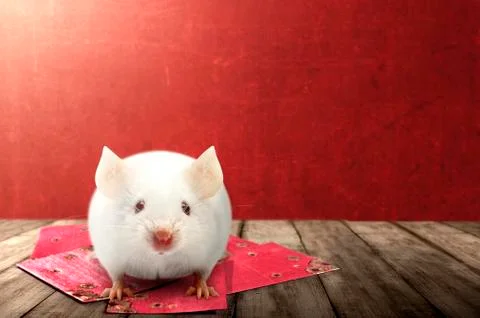 Stack of red envelopes on wooden tables to celebrate Chinese New Year and whi Foto stock