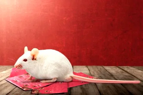 Stack of red envelopes on wooden tables to celebrate Chinese New Year and whi Foto stock
