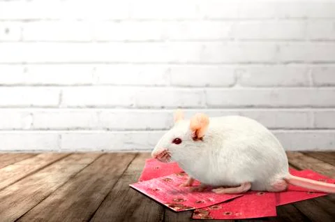 Stack of red envelopes on wooden tables to celebrate Chinese New Year and whi Foto stock