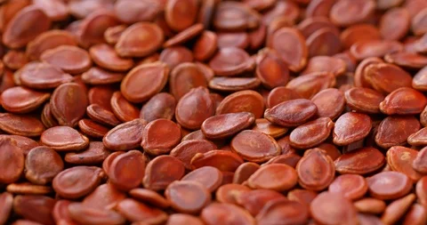 Stack of red melon seed Stock Footage 106343755