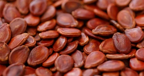 Stack of red melon seed Stock Footage 106742655