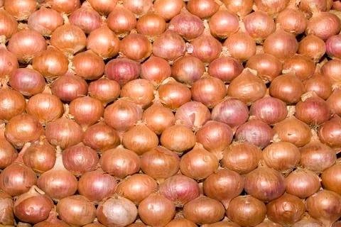 Stack of red onions 库存照片