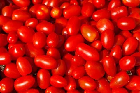Stack of red plum tomatoes a market stall Foto stock