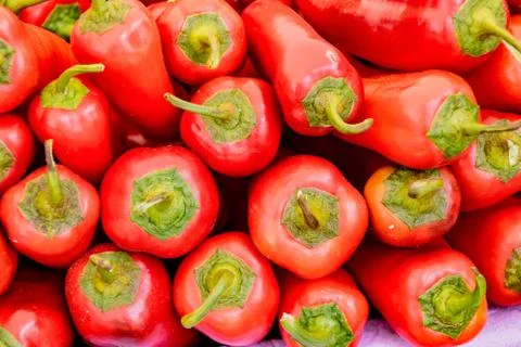 Stack of red poblano peppers Foto stock
