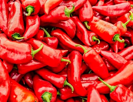 Stack of red poblano peppers Stock Photos