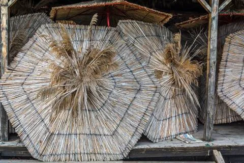 Stack of reeds umbrellas Stock Photos