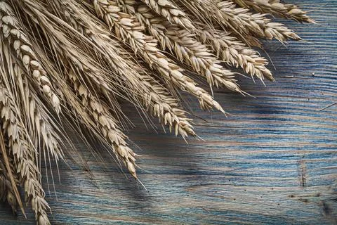 Stack of ripe bread rye ears on vintage wooden board horizontal picture 스톡 사진