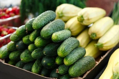 Stack with ripe cucumbers and squashes on the counter of the Belarussian mark Stock Photos