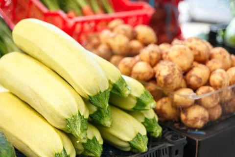 Stack with ripe squashes on the counter of the Belarussian market. 스톡 사진