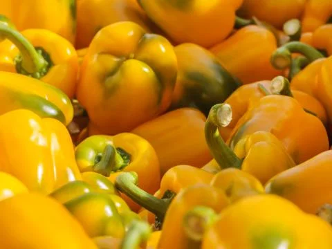 Stack of ripe yellow bell peppers Foto stock