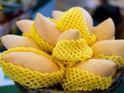 Stack of ripe yellow mangoes on in plastic packaging. Fruit and vegetarian co Stock Photos