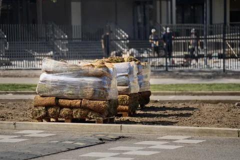 Stack of rolled sod covered in plastic film awaits installation along the roa Stock Photos
