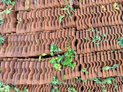 Stack of Roof Tile Foto stock