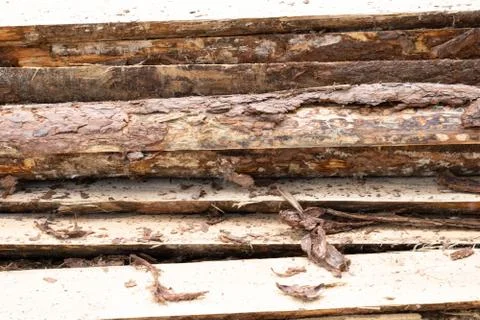 A stack of rough boards. A pile of boards. Stock Photos