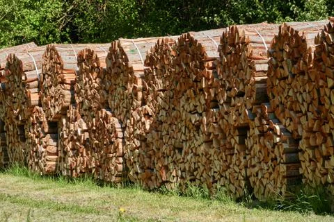 Stack of round bales of brown firewood in a forest Fotos Stock