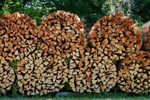 Stack of round bales of brown firewood in a forest Foto stock