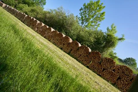 Stack of round bales of brown firewood in a forest Stock-Fotos