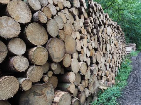Stack of round brown firewood along the road Stock-Fotos