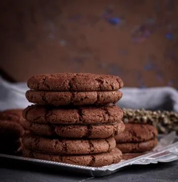A stack of round chocolate chip cookies Stock Photos