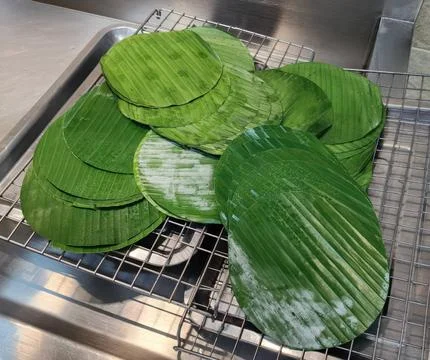 Stack of Round Cut Banana Leaves on Metal Drying Rack in Commercial Kitchen Stock Photos