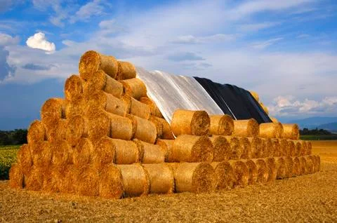 Stack of round straw bales Fotos Stock