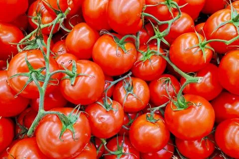 Stack of round tomatoes in bunched on a market stall 스톡 사진
