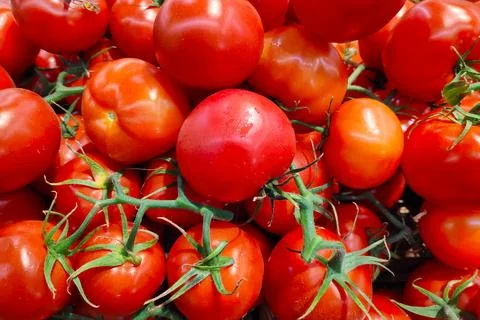 Stack of round tomatoes in bunched on a market stall Stock-Fotos