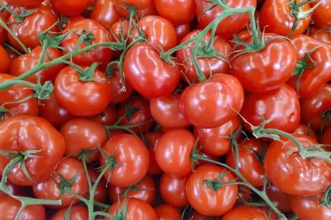 Stack of round tomatoes in bunched on a market stall Stock Photos