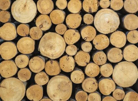 Stack of sawn wood log. Natural wooden texture background Stockfoto's