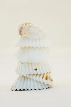 Stack Of Seashells Foto stock