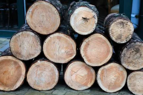 A stack of seasoned firewood . Fotos de archivo