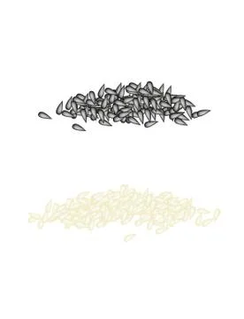 Stack of Sesame on A White Background Stock Illustration