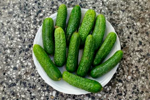 A stack of several fresh green cucumber gherkins in a plate Stock Photos