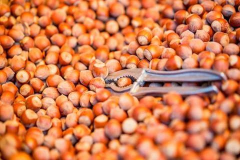 Stack of shelled hazelnuts and nutcracker for baclground picture Stock Photos