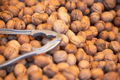 Stack of shelled walnuts and nutcracker for baclground picture Stock Photos