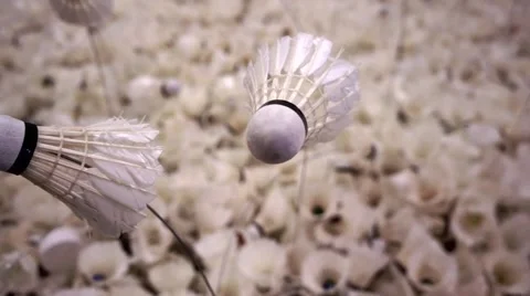 Stack of shuttlecock Stock Footage 42083602