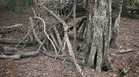 Stack of small branches 02 Stock Footage 22431942