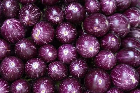 Stack of small eggplants on a market stall 스톡 사진