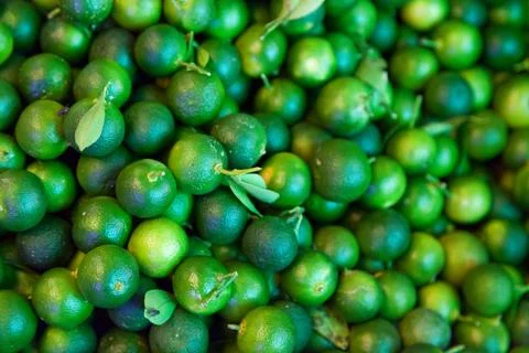 Stack of small limes on a market stall 스톡 사진