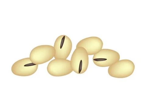 A Stack of Soybeans on White Background Stock Illustration