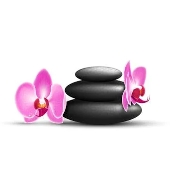 Stack of spa stones with orchid flowers isolated on white background Illustrazione stock