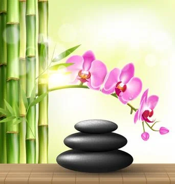 Stack of spa stones with orchid pink flowers and bamboo and sunl Illustrazione stock
