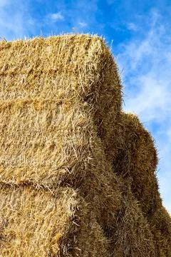A stack of square hay bales against a blue sky Stock Photos